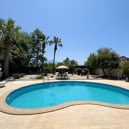 Gurme * Φετιγιέ